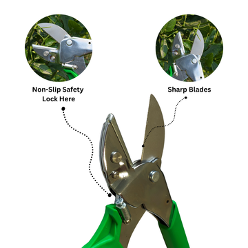 Showing pruning shears with close-up highlights